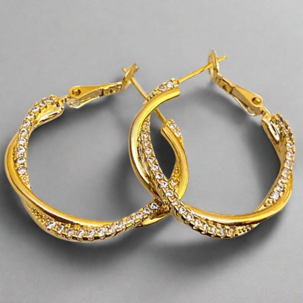 JE27-5 Hoop CZ Circular Earrings - Gehney